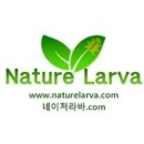 황금굼벵이