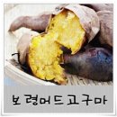 머드농수산체험마을 이미지