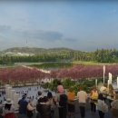 용산-116 이미지