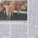 노들장애인야학