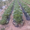 우현농장 이미지