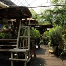 참샘 농원 이미지