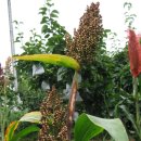 아림농장 이미지