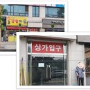 J가발