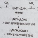 기출, 이론반 관련 질문 이미지