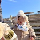 느리게걷기키즈가족펜션 이미지