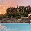 사라보카 이미지