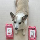 에센셜 | 매일 써도 안전한 강아지 물티슈 | 허레이 에센셜 솔직 후기