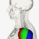 (주)1986피트니스 중산점 이미지
