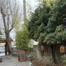 더리터 군산월명점 | 군산맛집 치히로 군산월명점, 연어장소바가 이렇게 맛있을 줄이야 🍣