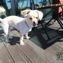 매일더탐나 이미지