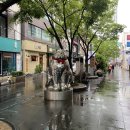 울산중앙전통시장 이미지