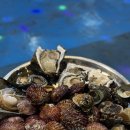 은소주방 | 거제 조개구이 맛집, 해녀소주방