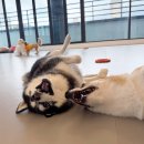 낙원유치원 이미지