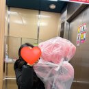 [6. 결혼 준비] 주안 cn 홀패키지, 강남 cn 스튜디오 웨딩 촬영 후기