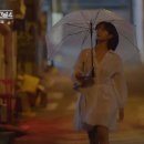 시그널헤어