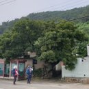 산양초등학교풍화분교장 이미지