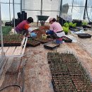 수막 목장 이미지