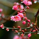 소망태양광발전소 이미지