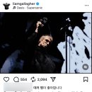 이이러뷰 | [OASIS Live ’25 SOUTH KOREA] 오아시스는 실존한다 | 오아시스 내한공연 후기