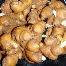 덕풍 2농장 이미지