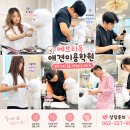 에브리독애견미용학원 | 광주 애견미용학원 추천! 실습 중심으로 배우는 에브리독애견미용학원 수업 현장