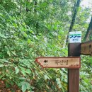 독산성 동문 | [짧은후기]경기도 오산 화성 갈만한 곳 독산성#무료주차장/세마대/둘레길/가을 산책/포토스팟
