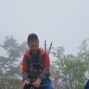 천*호 이미지