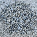 제이유통 이미지