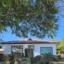 금능이모네 이미지