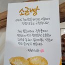 카카오 이미지