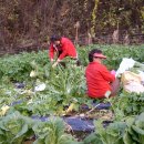 가마실마을 이미지