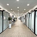 OA실무(엑셀+파워포인트+한글) 이미지