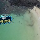 새마을서핑운동 이미지