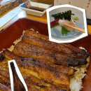 더담덮밥 - 창원시 성산구 마디미로16번길 7 | 도쿄 신주쿠 가부키초 숨은 맛집, 장어덮밥에 사케와 고구마 소주 혼술 후기 / 우나기쇼 본점