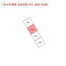 사파동117 이미지