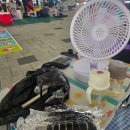 삼가체육공원화장실 | 구미 낙동강 야외워터파크 후기 / 이용팁과 준비물