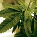 태국공인중개사사무소 이미지