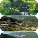 다곡 1 용반경로당 | 피크닉 / 캠크닉...^‿~~♥️ 재방문 캠핑장 [1] 구미 / 피크닉 팜&#34; 캠핑장