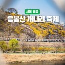소성리 주택가 공중화장실 | 응봉산 개나리, 낮과 밤 둘 다 다녀왔습니다ㅣ꿀팁, 후기, 사진, 주차정보