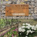 2026 진주정원박람회, 수국축제 숨은 관람 포인트 실시간 후기