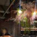 청담-146 이미지