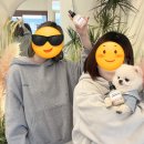 반려동물을 위한 천연아로마 힐링제품 원데이 클래스 | 반려견 아로마테라피 원데이클래스 :) 파주 펫테라피 그루밍 스프레이 만들기 후기