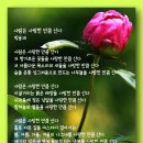 사람은 사랑한 만큼 산다 - 박용재 이미지