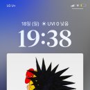 유애플