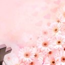 양집사네