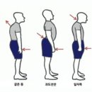 더메이트 이미지