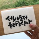 서호체육센터 이미지