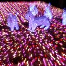 한국폴리텍 V 대학 전북캠퍼스 이미지