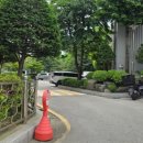 푸른숲약국 이미지